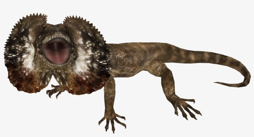 Graphic Freeuse Download Zoo Tycoon - Frilled Neck Lizard Png, transparent png download