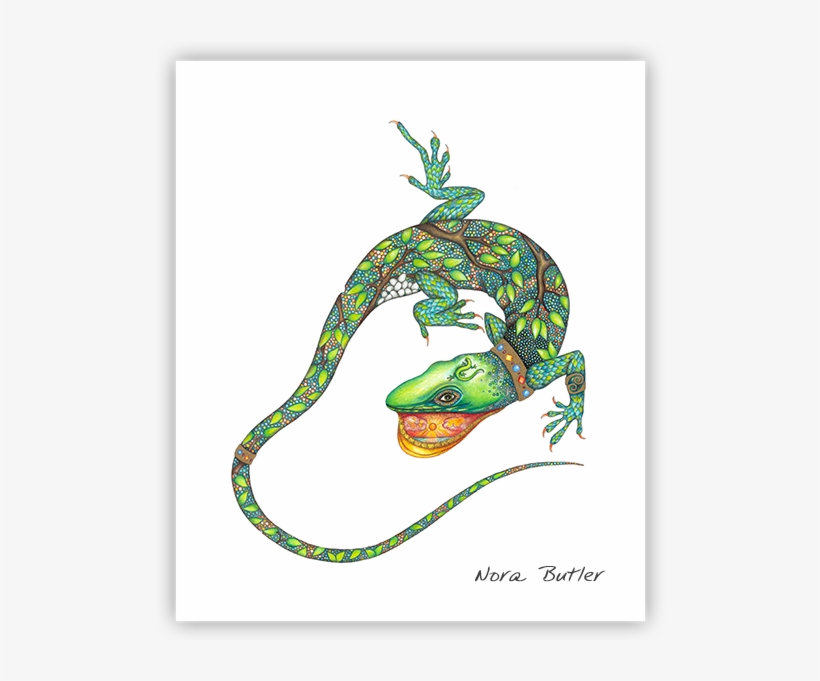 Chameleon Print By Nora Butler - Nora Butler Designs, transparent png download