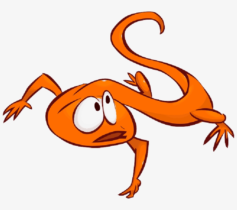Mb Image/png - Lizard Clip Art, transparent png download