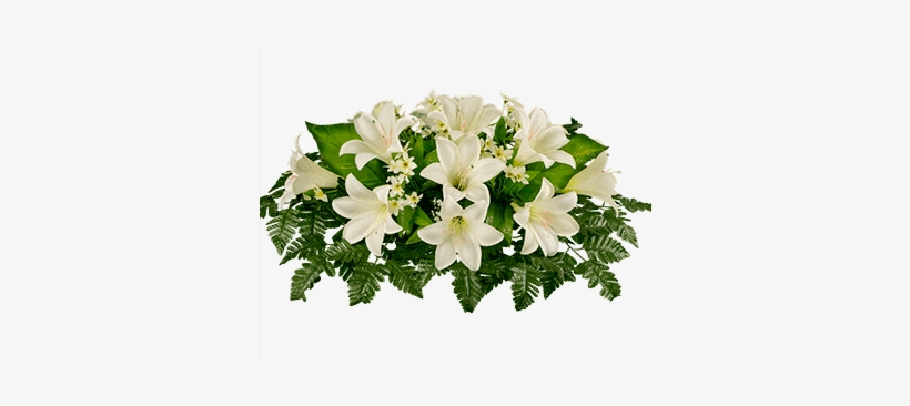 Go To Image - White Easter Lily Transparent, transparent png download