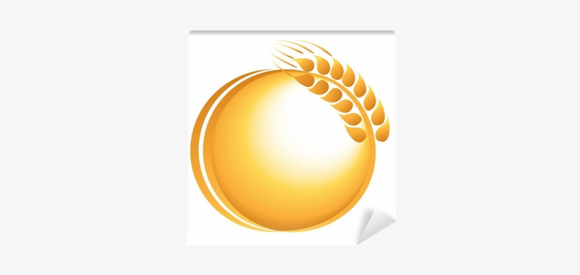 Wheat, transparent png download