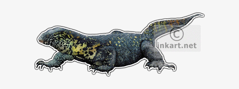 Nile Monitor - Nile Monitor Sticker (oval), transparent png download
