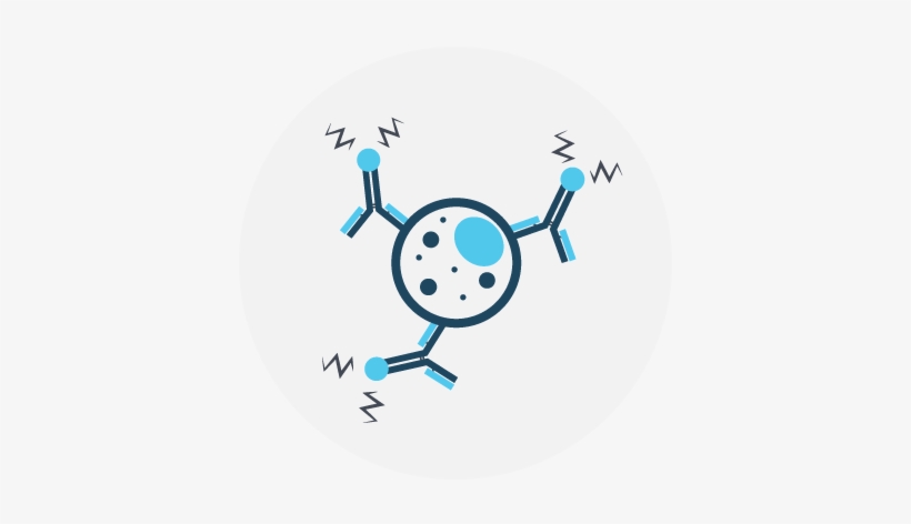 Detection Sets Icon - Antibody Icon Png, transparent png download