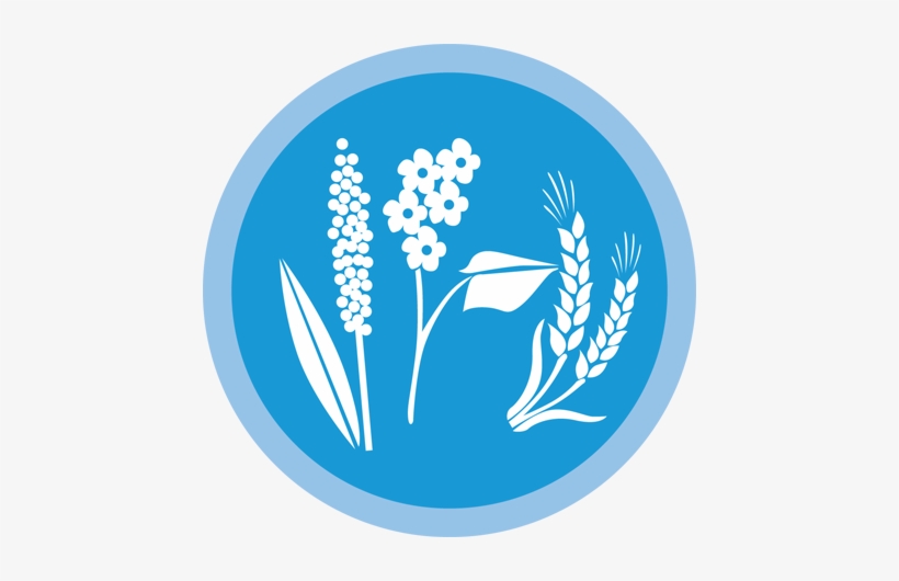 Wheat Icon New - Video Game, transparent png download