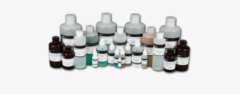 Ancillaries - Acrylic Paint, transparent png download