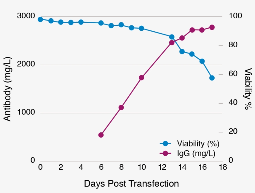 Antibody Titers >500 Mg/l Within 6 Days & >2 G/l In - Diagram, transparent png download