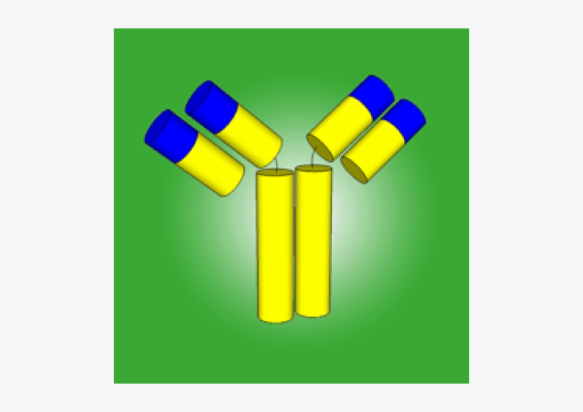 Monoclonal Antibody, transparent png download