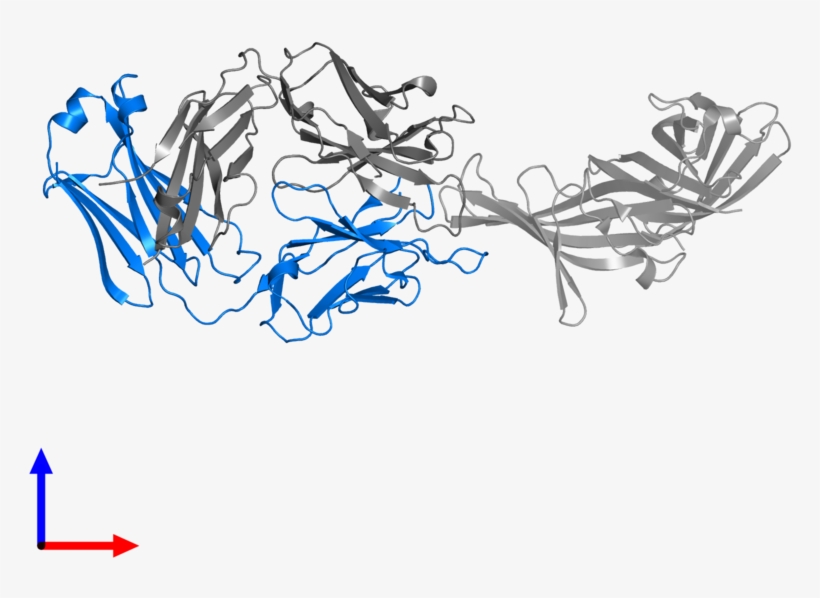 <div Class='caption-body'>pdb Entry 5t5f Contains 1 - Graphic Design, transparent png download