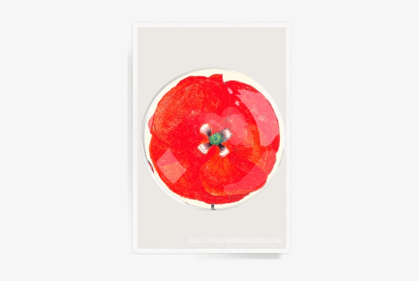 Ben's Garden - Modern Art, transparent png download