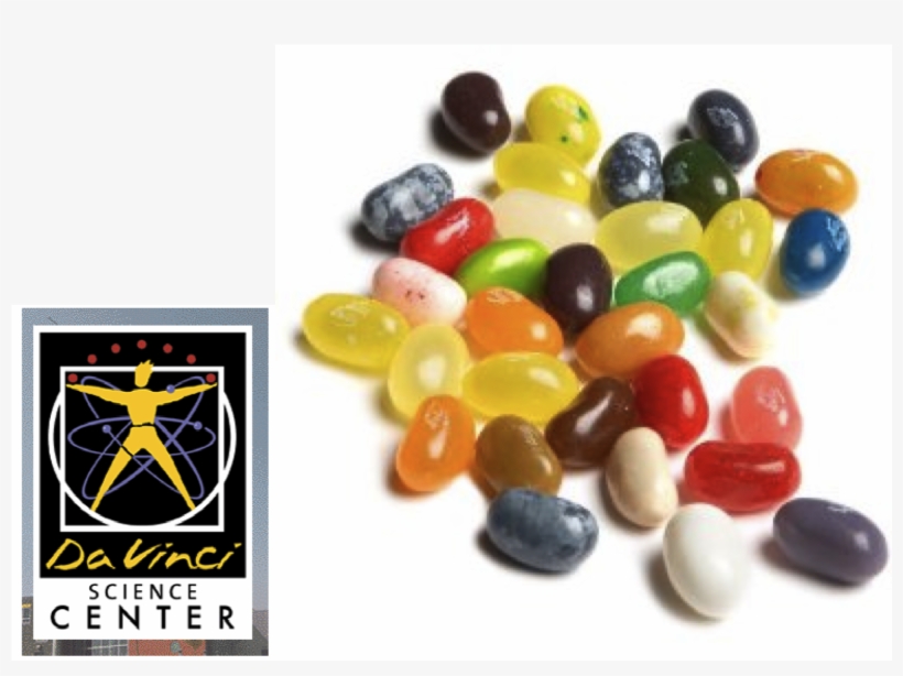 The Davinci Science Center In Allentown, Pa - Kirkland Signature Jelly Belly Gourmet Beans, 49 Flavors, transparent png download