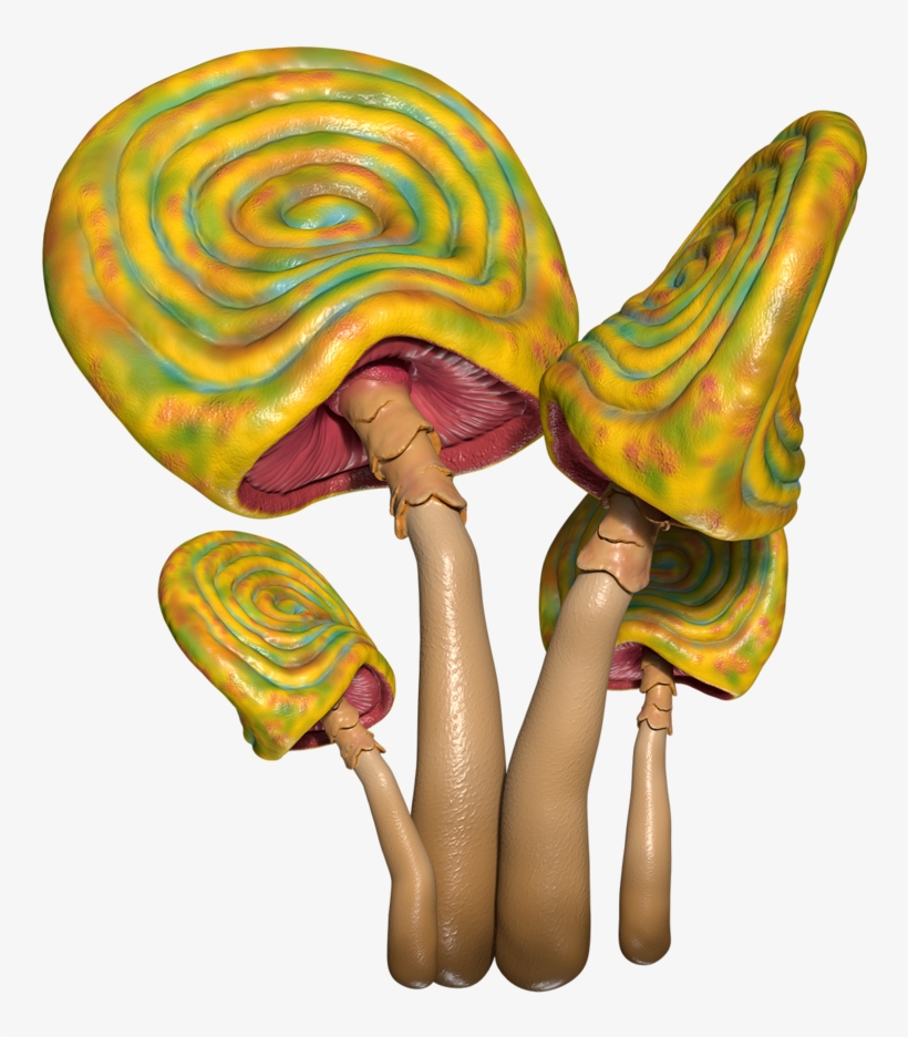 Poor Man's Lollipop - Illustration, transparent png download