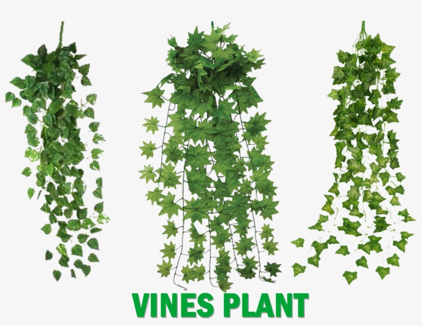 Vines Plants - Leegoal Atificial Hanging Vine Plant Leaves Garland, transparent png download