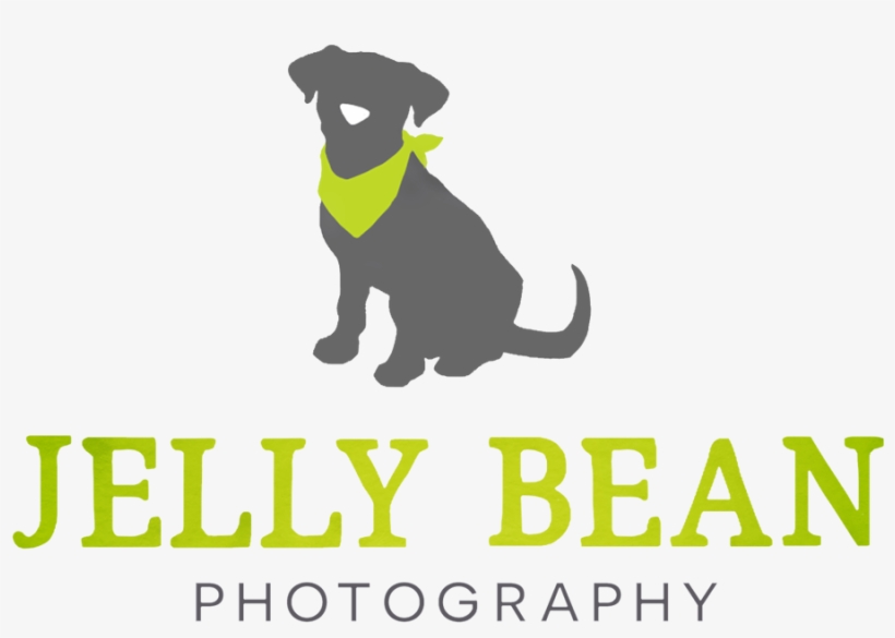 Jelly Bean Photography - Gvac, transparent png download
