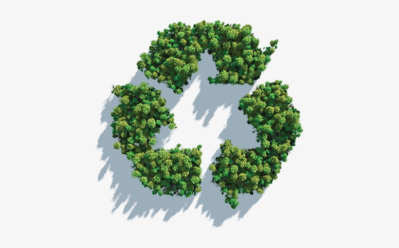 Seal Of Approval For Energy Efficiency - Transparent Sustainability, transparent png download