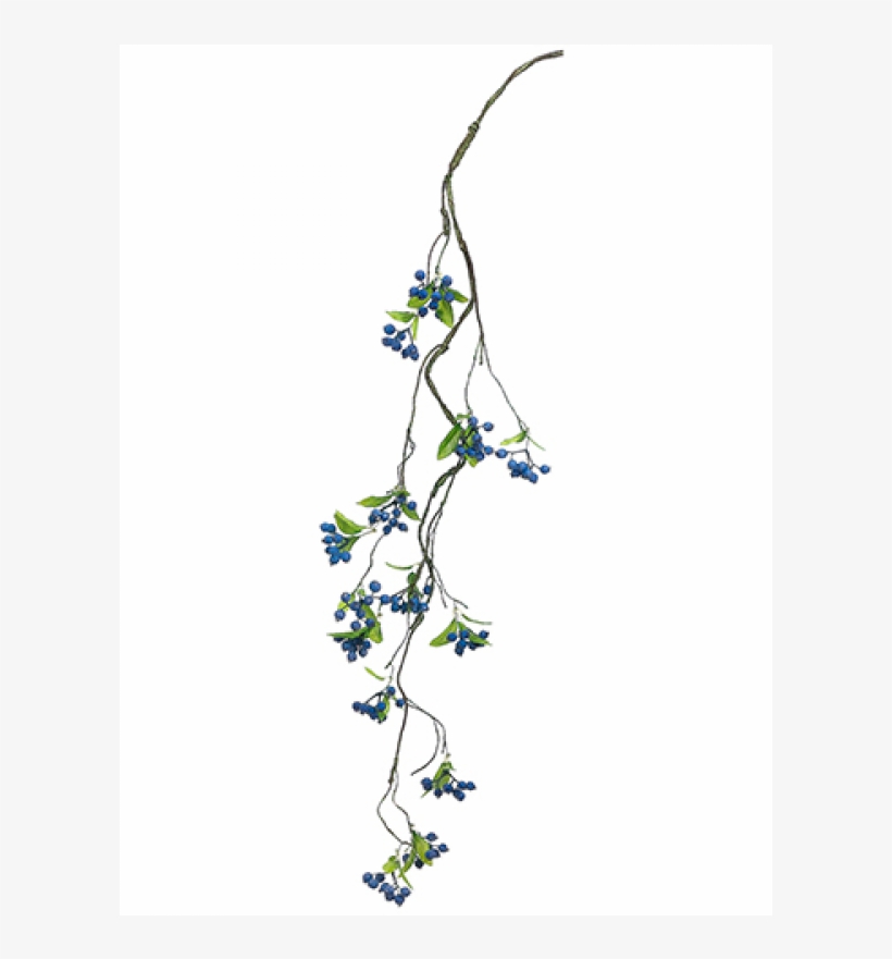 42 Inch Berry Vine Blue Gray - Illustration, transparent png download