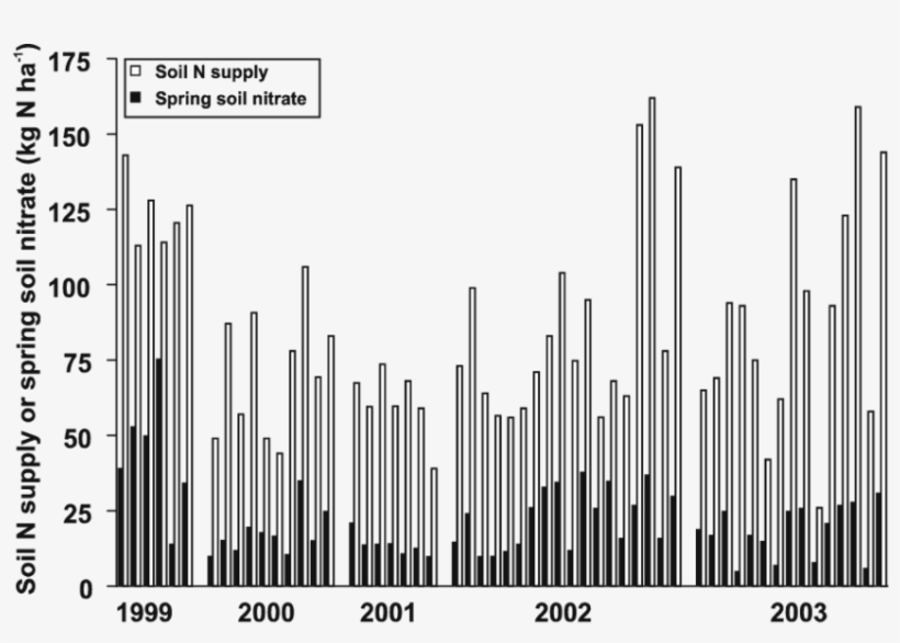 Soil N Supply - Storm Data, transparent png download