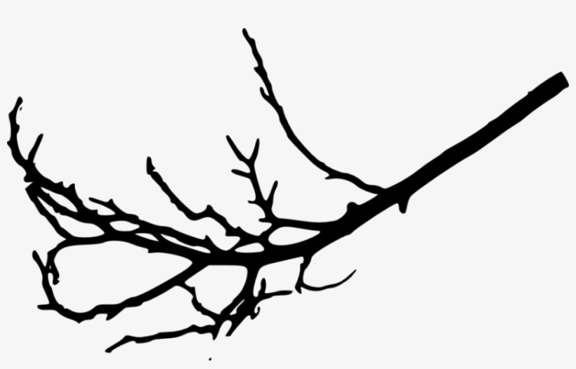 Free Png Tree Branches Silhouette Png Images Transparent - Tree Branch Silhouette Png, transparent png download