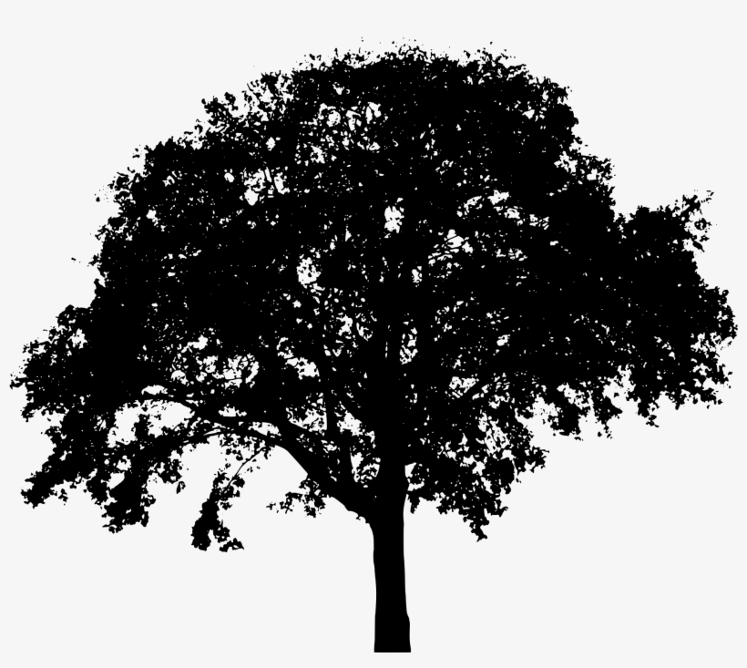 Transparent Landscape Silhouette - Tree Silhouette Free, transparent png download