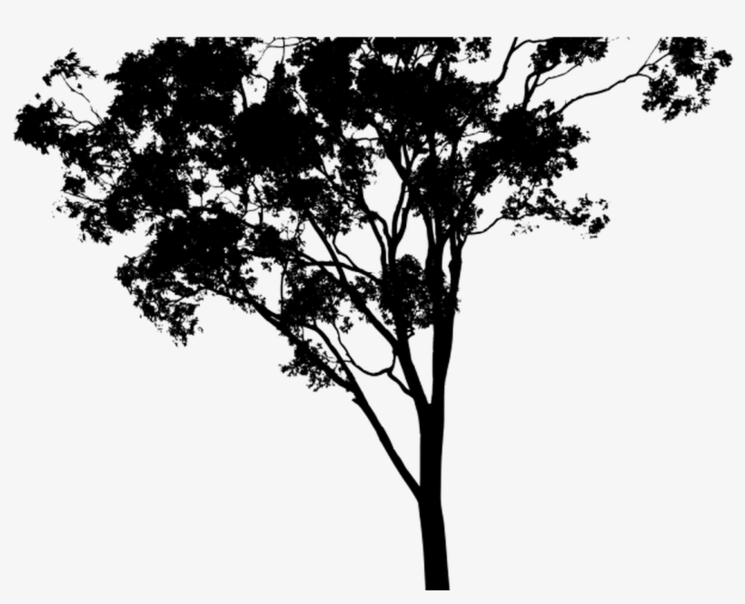 19 Hipster Vector Tree Huge Freebie Download For Powerpoint - Gum Tree Silhouette Png, transparent png download