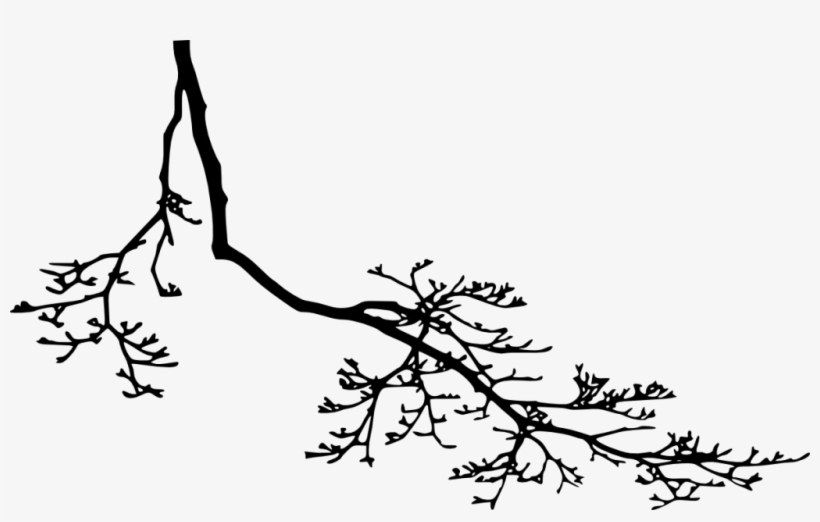 Free Png Tree Branch Silhouette Png Images Transparent - Silhouette, transparent png download