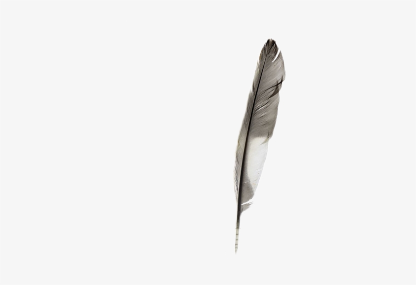 Feel Sleeping With Sirens, transparent png download