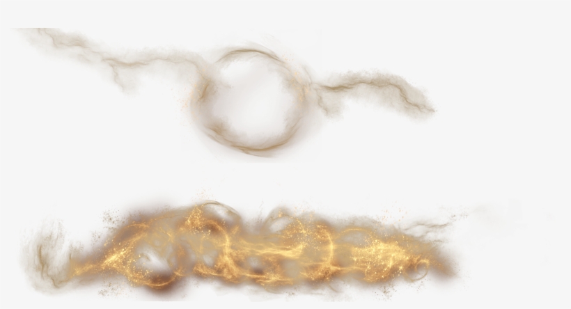 Macro Photography, transparent png download