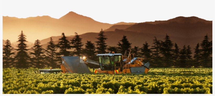 Kim Crawford Wines - New Zealand Wine Kim Crawford, transparent png download