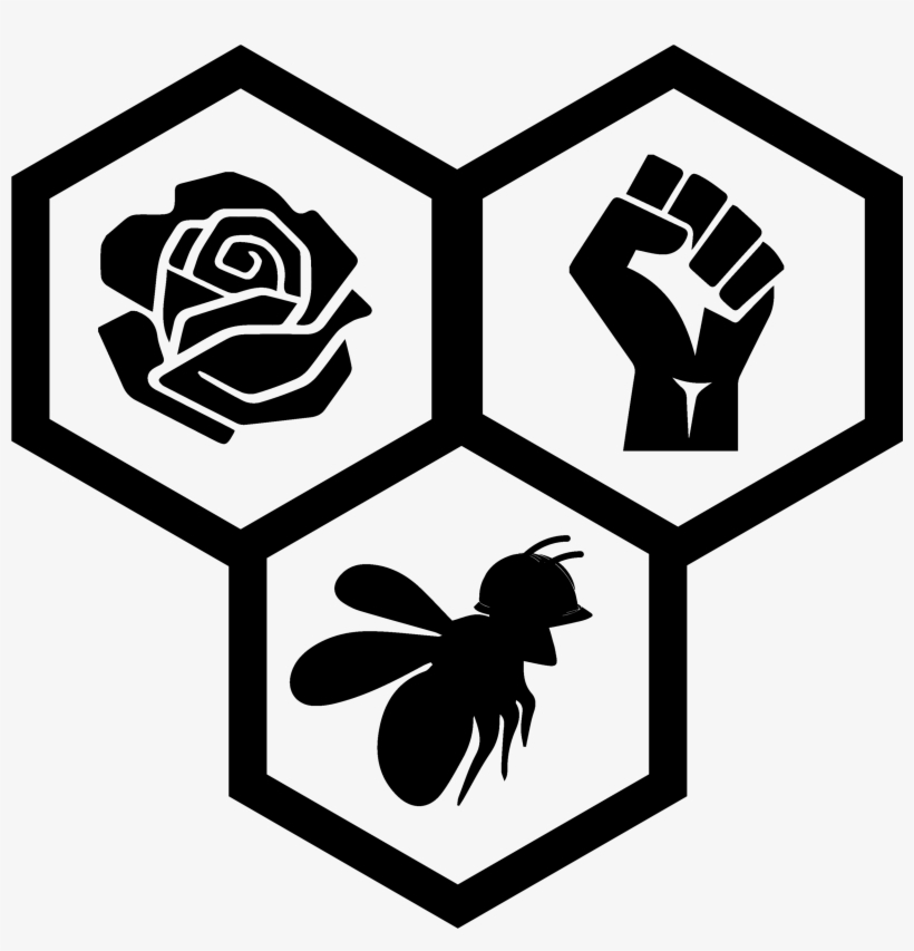 Charlotte Metro Dsa Statement, transparent png download