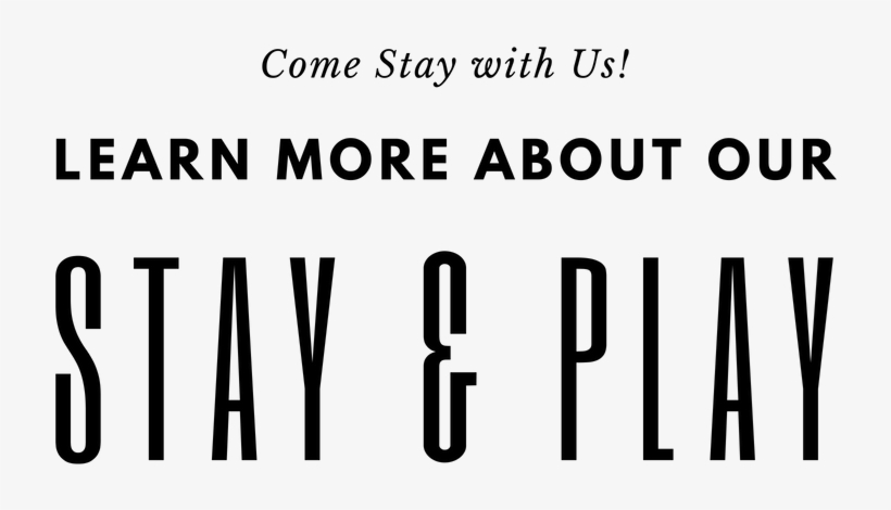 March Stay & Play Special - Black-and-white, transparent png download