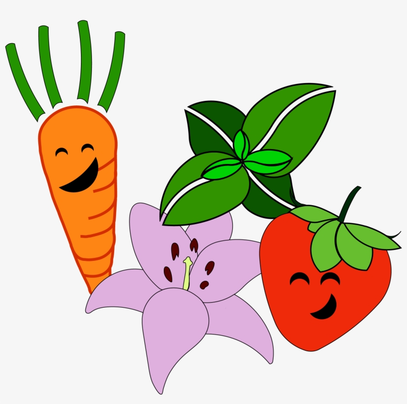 Radish Clipart Transparent - Fruit And Vegetable Clip Art, transparent png download