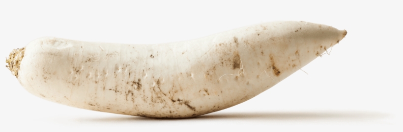 How To Cook With Daikon - Saba Banana, transparent png download