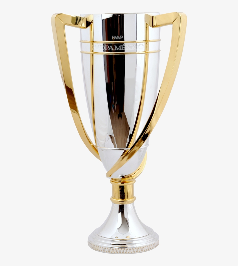 Accesorios Para Tu Liga 2012 2013 Trofeos - Npower Championship Trophy, transparent png download