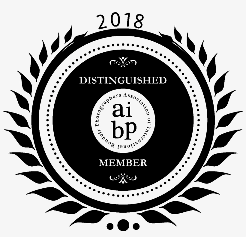 Black Lace Boudoir Mission - Round Badge Gold Png, transparent png download