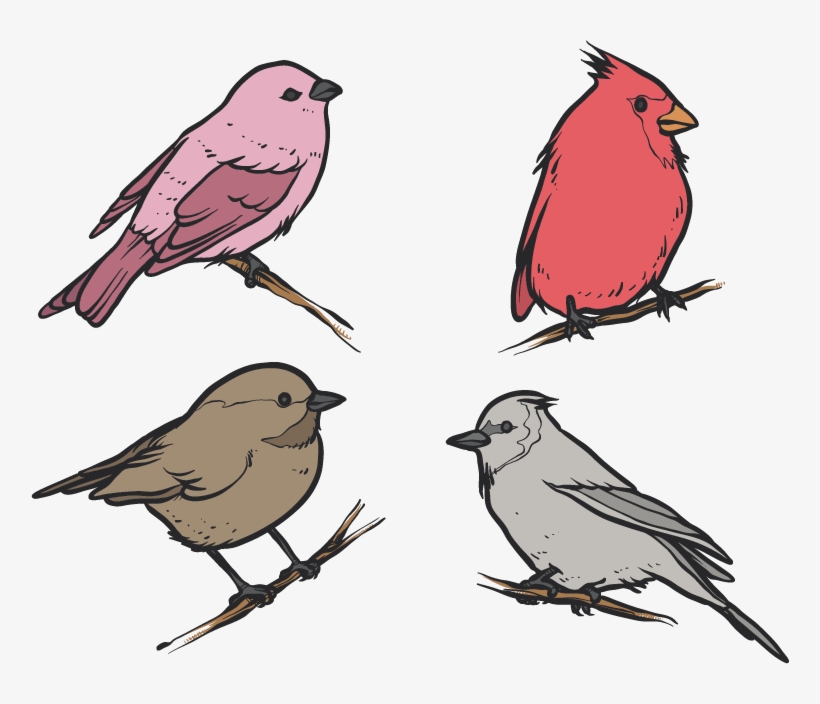 Bird House Clip - Old World Flycatcher, transparent png download