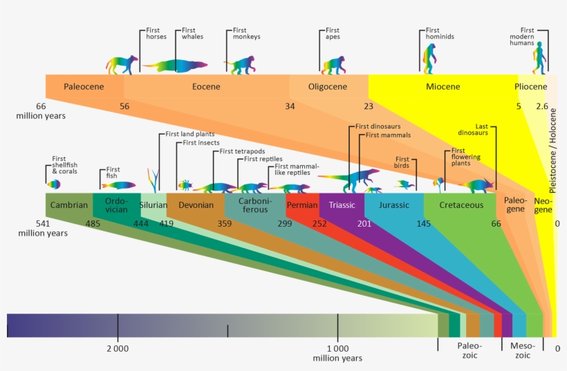 Download As Image - Hvordan Ble Olje Laget, transparent png download
