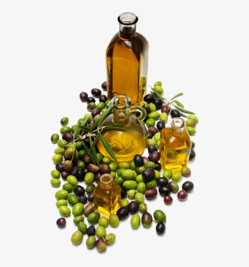 Olive, transparent png download