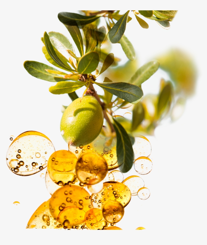 Argan Care Hand And Body Cream, transparent png download