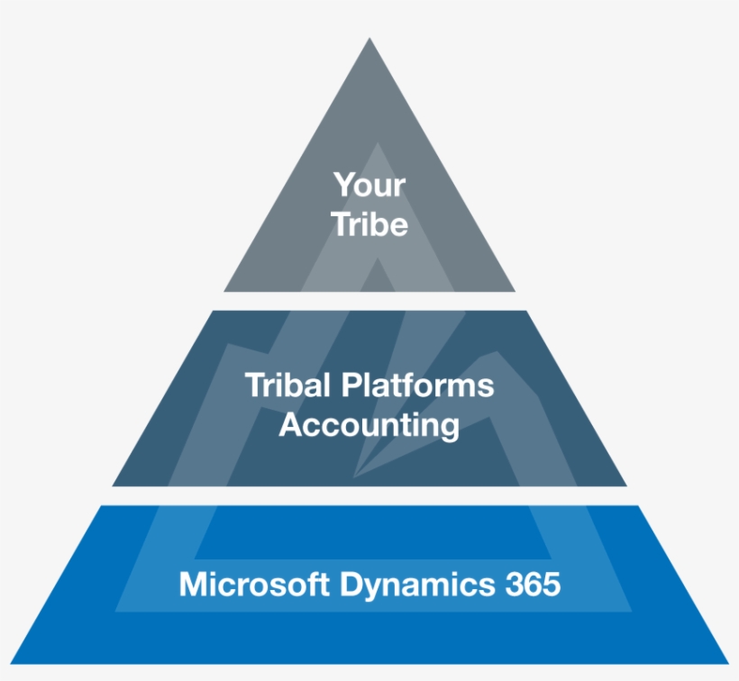 Grant And Project Management Solutions For Government - Dyslexia Interventions, transparent png download