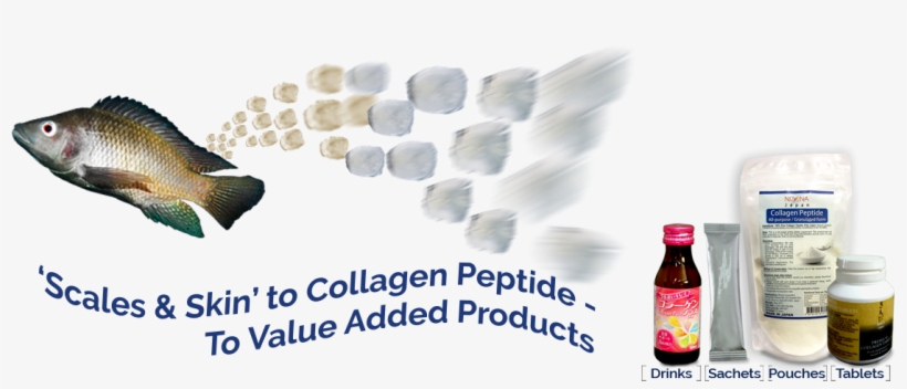 Glass Bottle, transparent png download