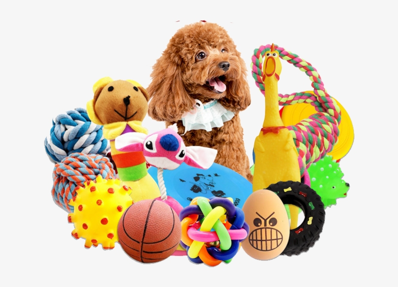 Dog, transparent png download