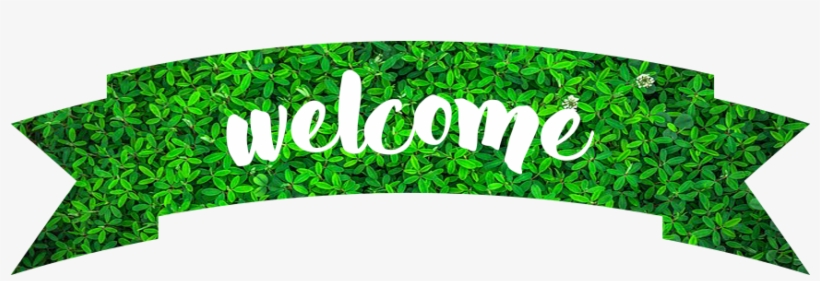 Monster High - Illustration, transparent png download