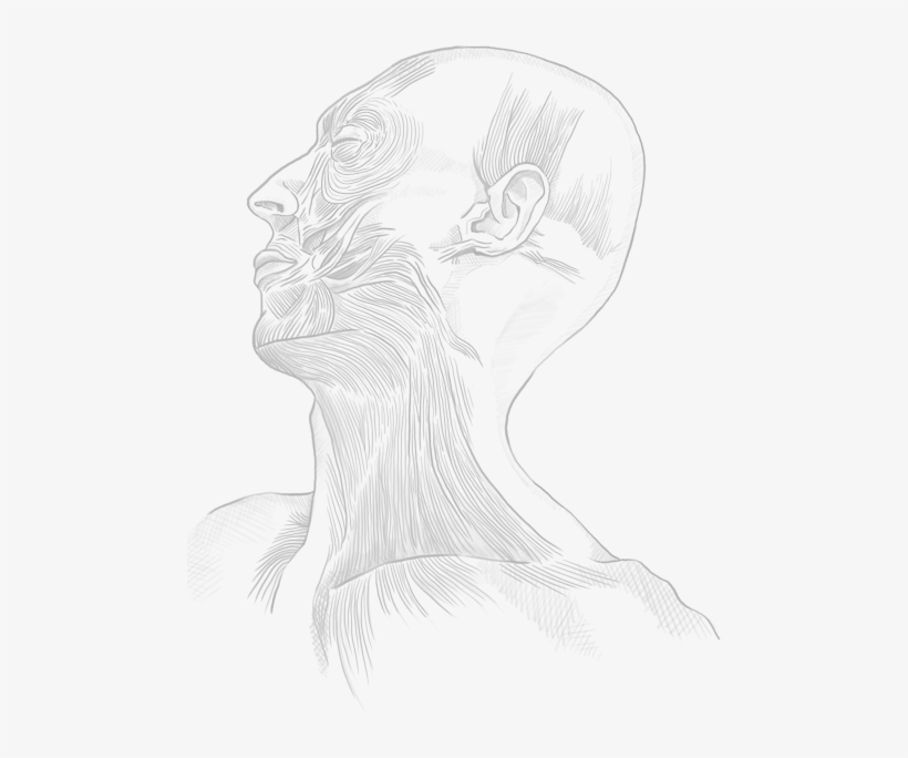 Cnn Beneath The Skin, transparent png download