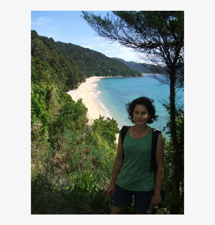 Dr Deirdre Hart - Abel Tasman National Park, Totaranui Beach, transparent png download