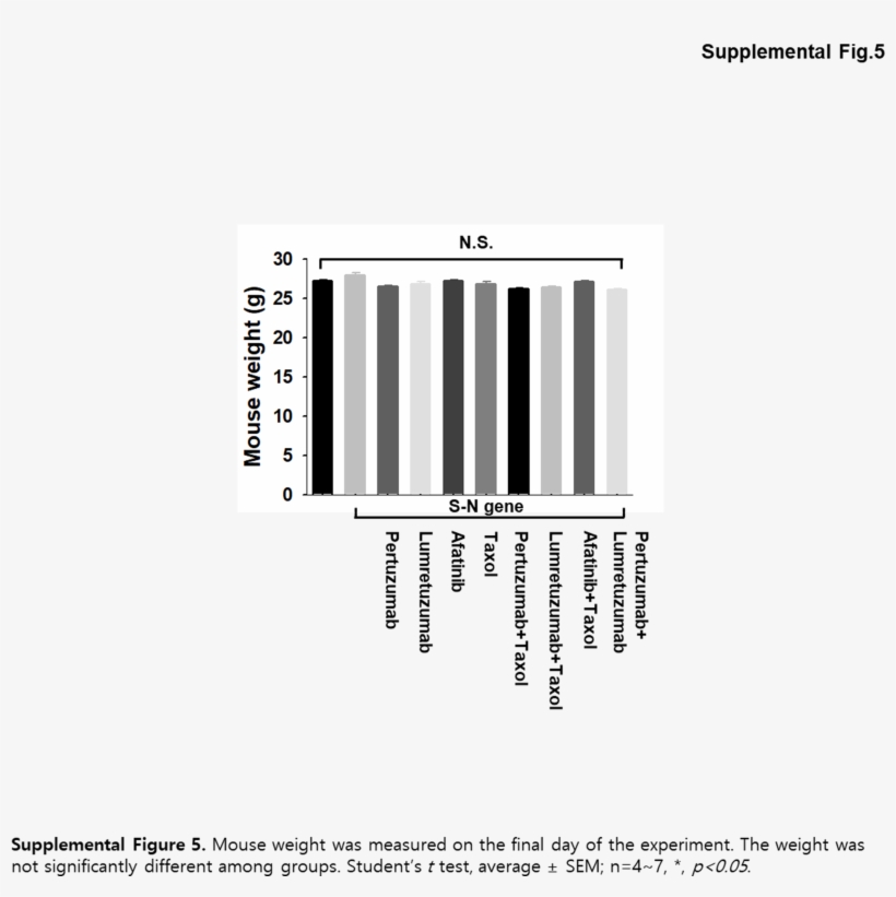 The Weight Was Not Significantly Different Among Groups - Graphics, transparent png download