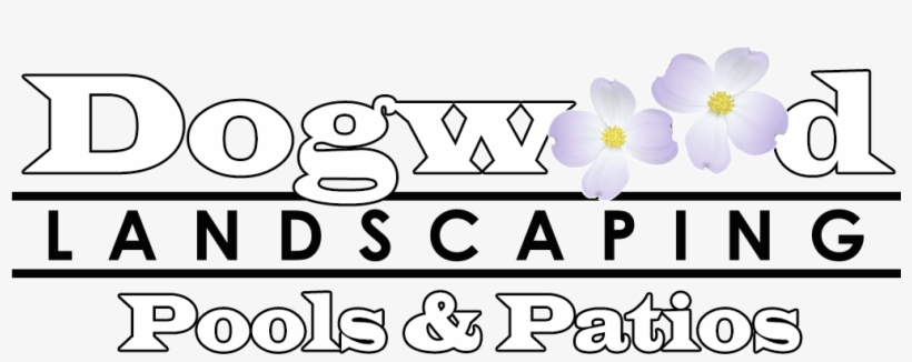 Image - Crocus, transparent png download