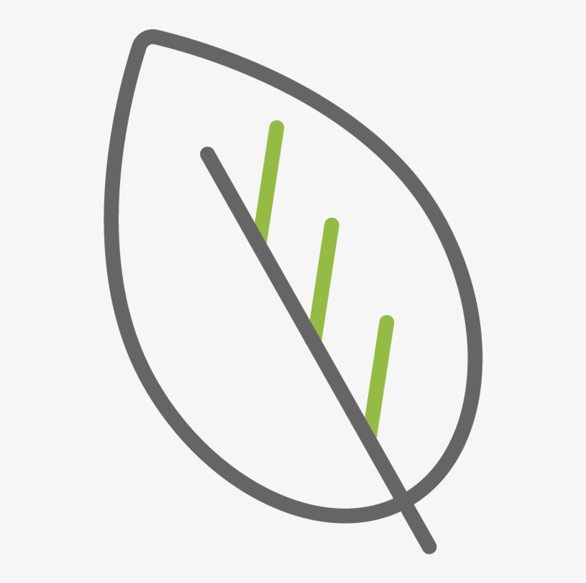 Green - Circle, transparent png download