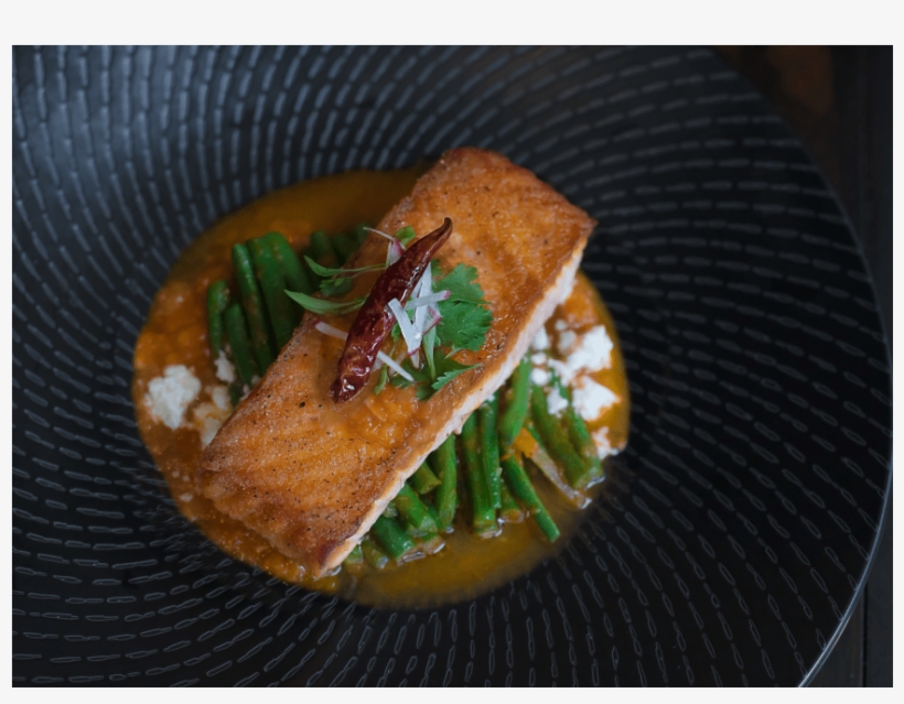 Salmon, transparent png download