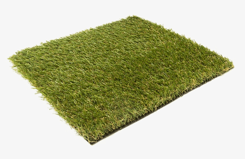 Fame 25mm - Lawn, transparent png download