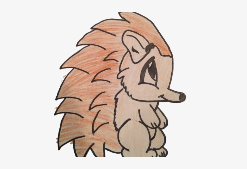 Hedgehog - Cartoon - Cartoon, transparent png download
