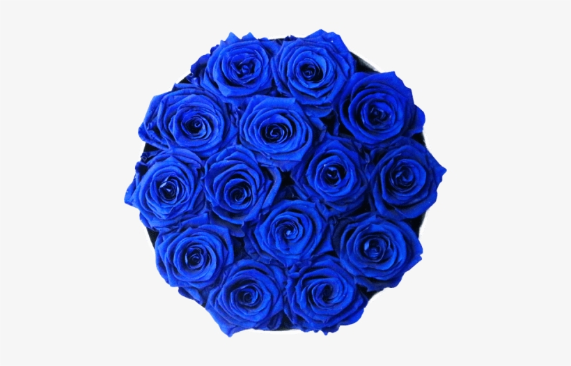 Rosas En Cajas Elegantes - Rose, transparent png download